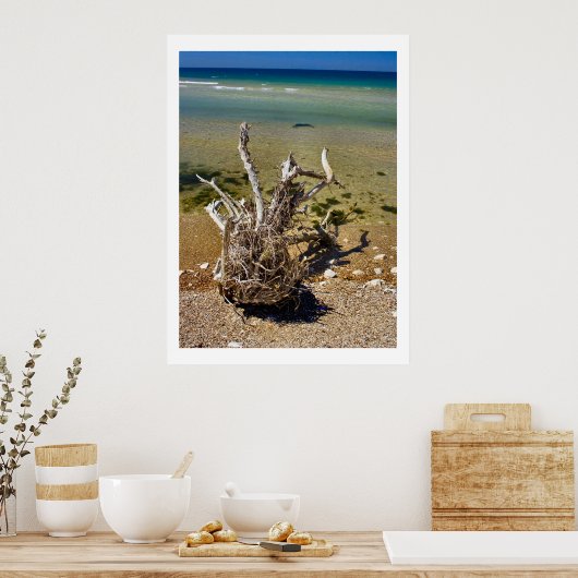 Elementen van de natuur - Driftwood Beach Poster (Keuken)