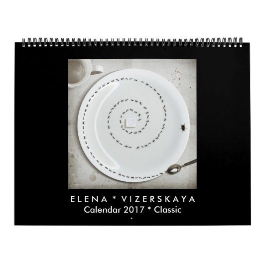 Elena Vizerskaya Art Calendar 2017 CLASSIC Kalender (Hoes)