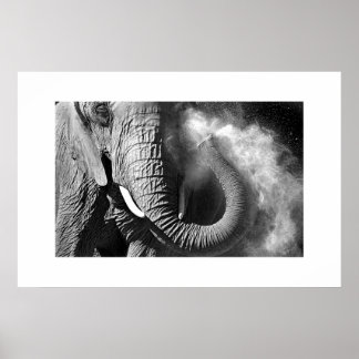 Elephant #1 poster
