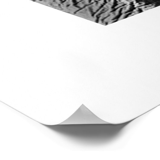 Elephant #1 poster (Hoek)