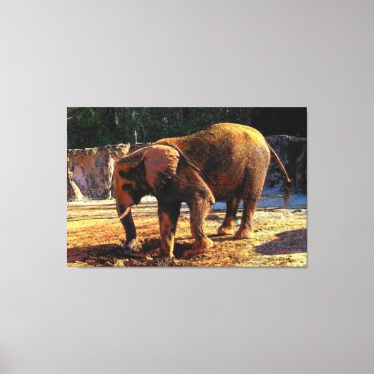 Elephant 1Design Canvas Afdruk (Voorkant)