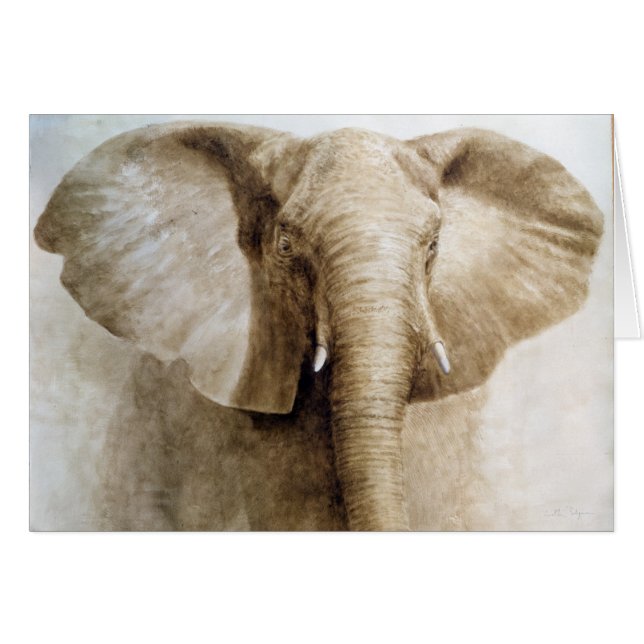 Elephant 2004 (Voorkant Horizontaal)