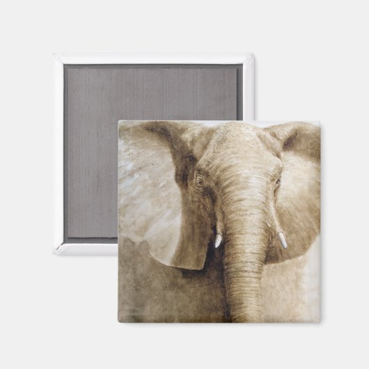 Elephant 2004 magneet (Voorkant / Achterkant)