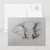 Elephant 2011 briefkaart (Voorkant / Achterkant)