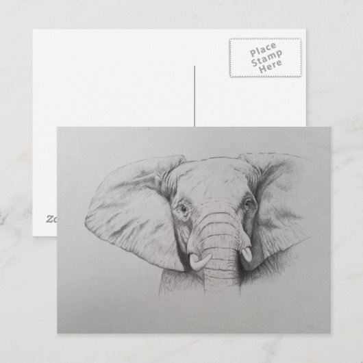 Elephant 2011 briefkaart (Voorkant / Achterkant)