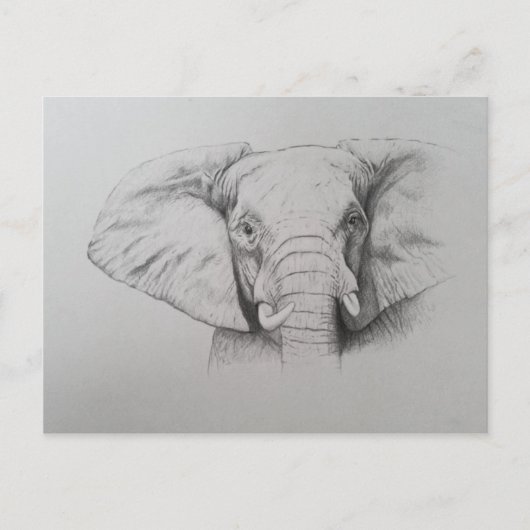 Elephant 2011 briefkaart (Voorkant)