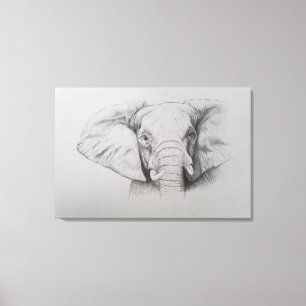 Elephant 2011 canvas afdruk
