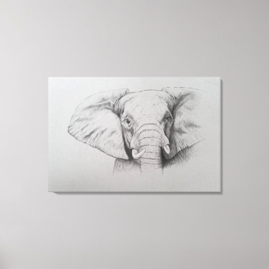 Elephant 2011 canvas afdruk (Voorkant)