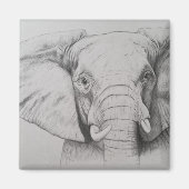 Elephant 2011 magneet (Voorkant)