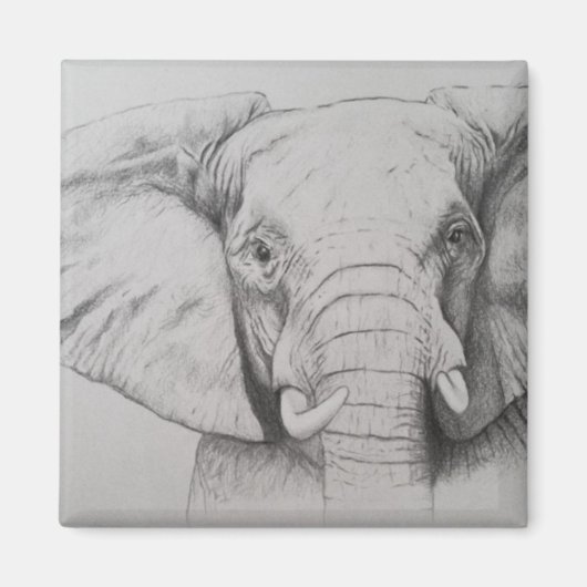 Elephant 2011 magneet (Voorkant)