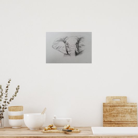 Elephant 2011 poster (Keuken)