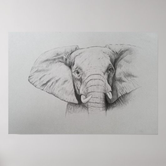 Elephant 2011 poster (Voorkant)