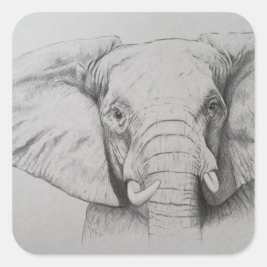 Elephant 2011 vierkante sticker (Voorkant)