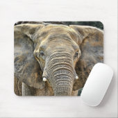 Elephant African All Ears Muismat (Met muis)