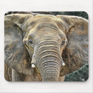 Elephant African All Ears Muismat