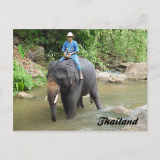 Elephant and Mahout Chiang Mai, Thailand Postcard Briefkaart