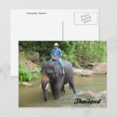 Elephant and Mahout Chiang Mai, Thailand Postcard Briefkaart (Voorkant / Achterkant)