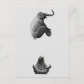 Elephant and Meditating Sloth Harmony Briefkaart (Voorkant)