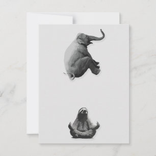 Elephant and Meditating Sloth Harmony Briefkaart