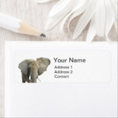 Elephant Animal Foto Etiket (Insitu)