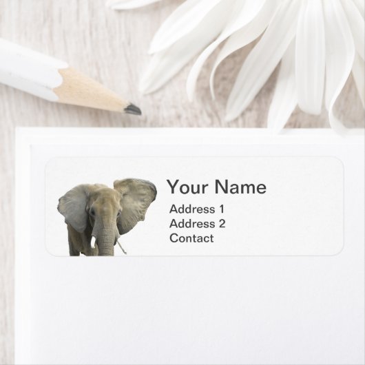 Elephant Animal Foto Etiket (Insitu)