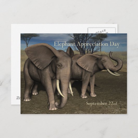 Elephant Appreciation Day Briefkaart 22 september (Voorkant / Achterkant)