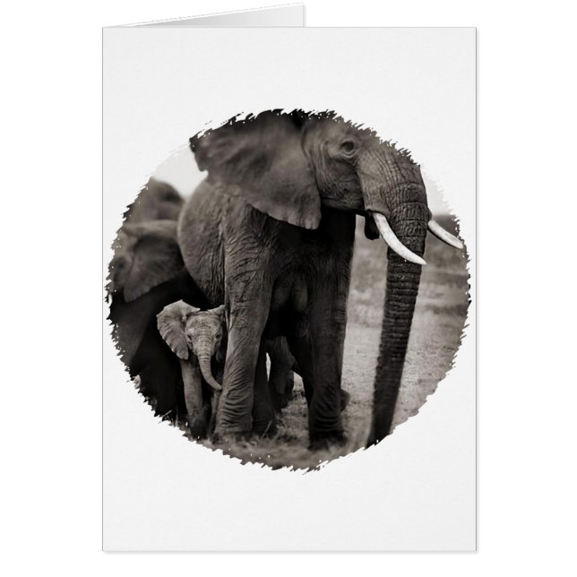 Elephant & Baby Elephant (Voorkant)