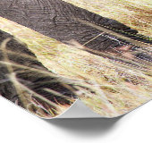 Elephant baby met foto van Moederliefde Poster (Hoek)