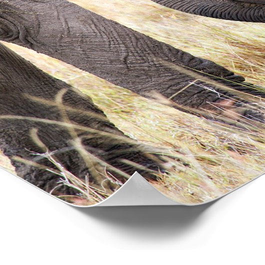 Elephant baby met moederliefde poster (Hoek)