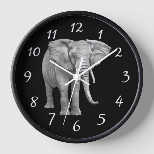 Elephant Background (Voorkant)