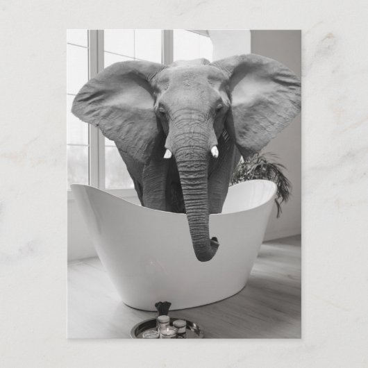 Elephant Badkuip Zwart Wit Badkamer Art Briefkaart (Voorkant)