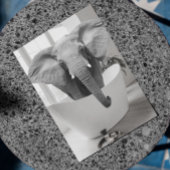 Elephant Badkuip Zwart Wit Badkamer Art Briefkaart