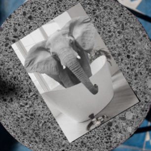 Elephant Badkuip Zwart Wit Badkamer Art Briefkaart