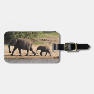 Elephant Bagagelabel