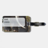 Elephant Bagagelabel (Achterkant horizontaal)