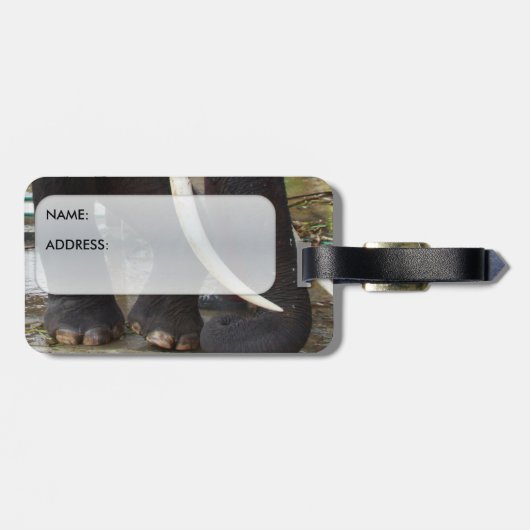 Elephant Bagagelabel (Achterkant horizontaal)