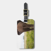 Elephant Bagagelabel (Voorkant verticaal)