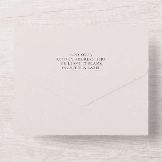 Elephant-ballonvaarding Baby shower in één uitnodi All In One Uitnodiging (Achterkant)