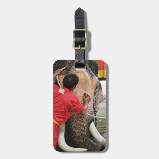 Elephant Bathtime ... Ayutthaya, Thailand Bagagelabel (Voorkant verticaal)