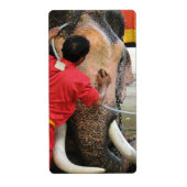 Elephant Bathtime ... Ayutthaya, Thailand Etiket (Voorkant)