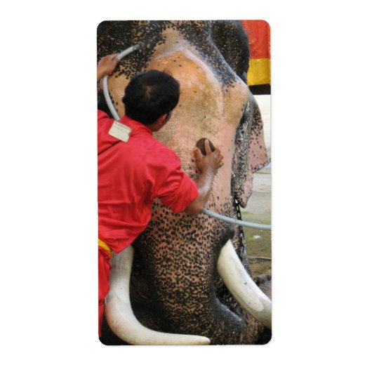 Elephant Bathtime ... Ayutthaya, Thailand Etiket (Voorkant)