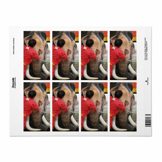 Elephant Bathtime ... Ayutthaya, Thailand Etiket (Full Sheet)