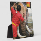 Elephant Bathtime ... Ayutthaya, Thailand Fotoplaat (Zijkant)