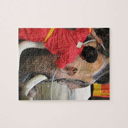 Elephant Bathtime ... Ayutthaya, Thailand Legpuzzel (Horizontaal)