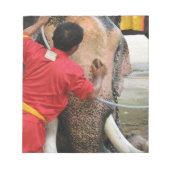 Elephant Bathtime ... Ayutthaya, Thailand Notitieblok (Voorkant)