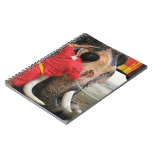 Elephant Bathtime ... Ayutthaya, Thailand Notitieboek