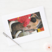 Elephant Bathtime ... Ayutthaya, Thailand Rechthoekige Sticker (Envelop)