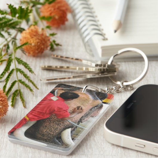 Elephant Bathtime ... Ayutthaya, Thailand Sleutelhanger (Voorkant Rechts)