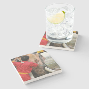 Elephant Bathtime ... Ayutthaya, Thailand Stenen Onderzetter