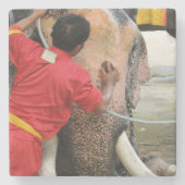 Elephant Bathtime ... Ayutthaya, Thailand Stenen Onderzetter (Voorkant)